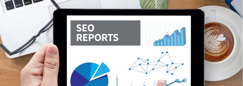 דוחות SEO חודשיים